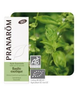 Basilic exotique (Ocimum basilicum) - Huile essentielle BIO, 10 ml